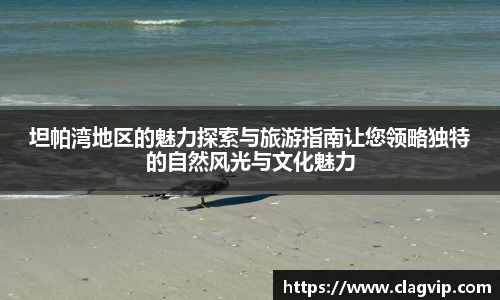 ky开元APP